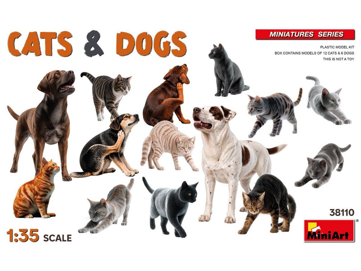 Cats & Dogs