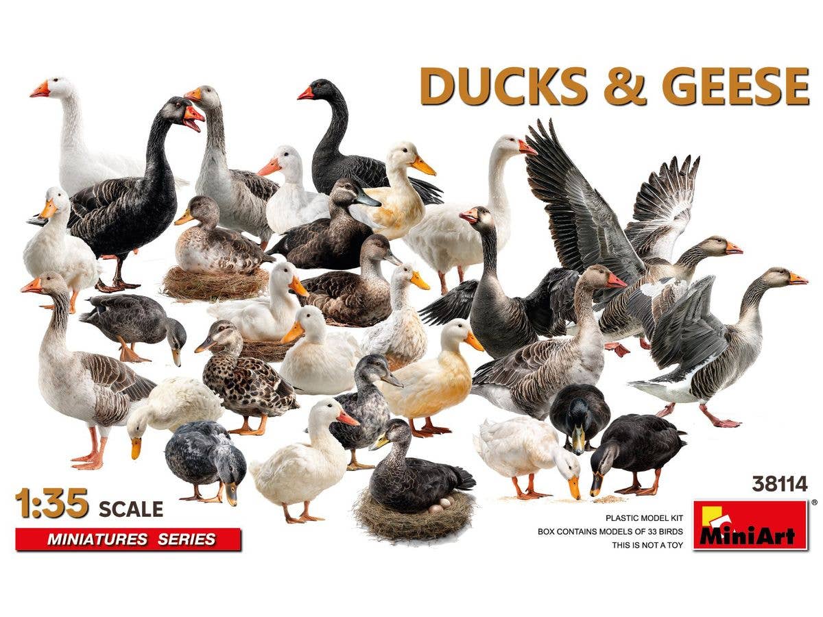 Ducks & Geese