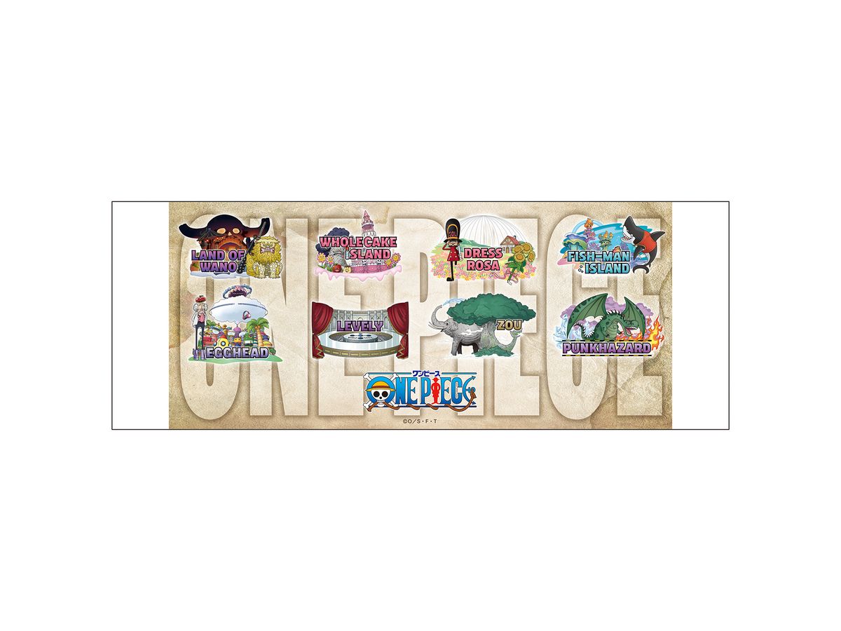 One Piece: Souvenir Mug / After 2 Years