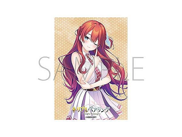HOOKSOFT Triple Pairing Taihoho Nasca No.MT2476 Character Sleeve Collection Matte Series