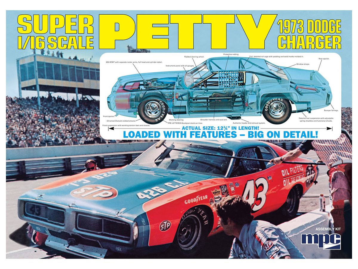 Richard Petty 1973 Daytona 500 Winner Dodge Charger