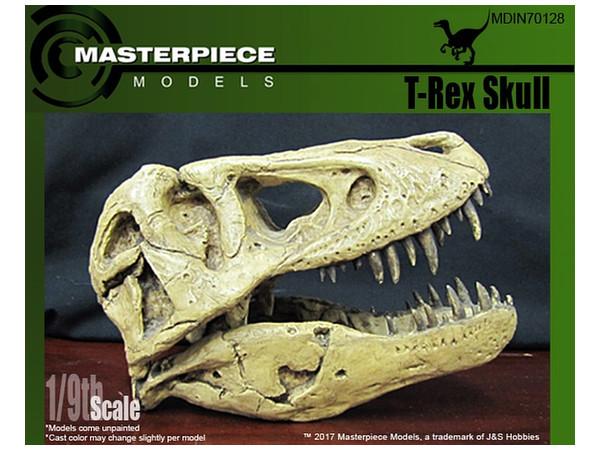 T-Rex Skull (Small)
