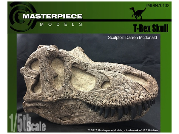 T-Rex Skull