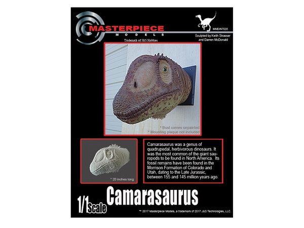 Camarasaurus