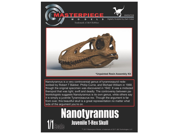 Nanotyrannus Juvenile T-Rex Skull