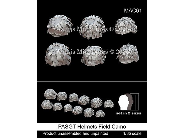 PASGT Helmets Field Camo
