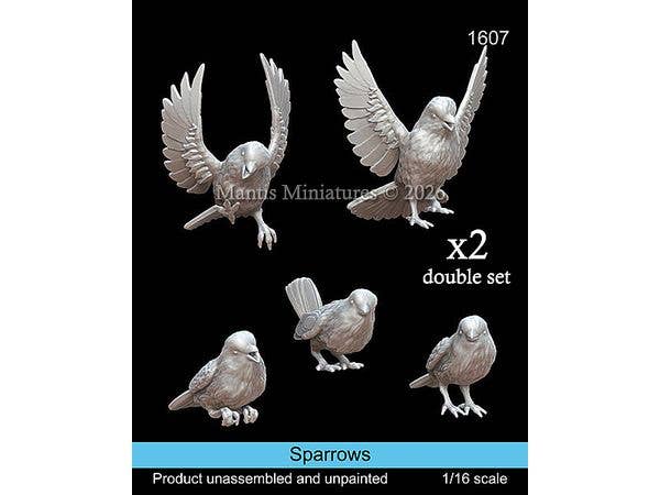 Animals Set Sparrows