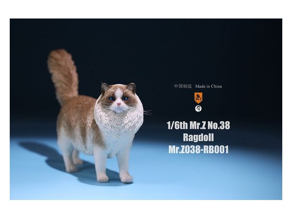 Mr. Z Ragdoll RB001