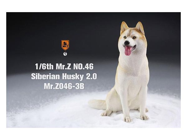 Siberian Husky "Sitting" (Beige/White)