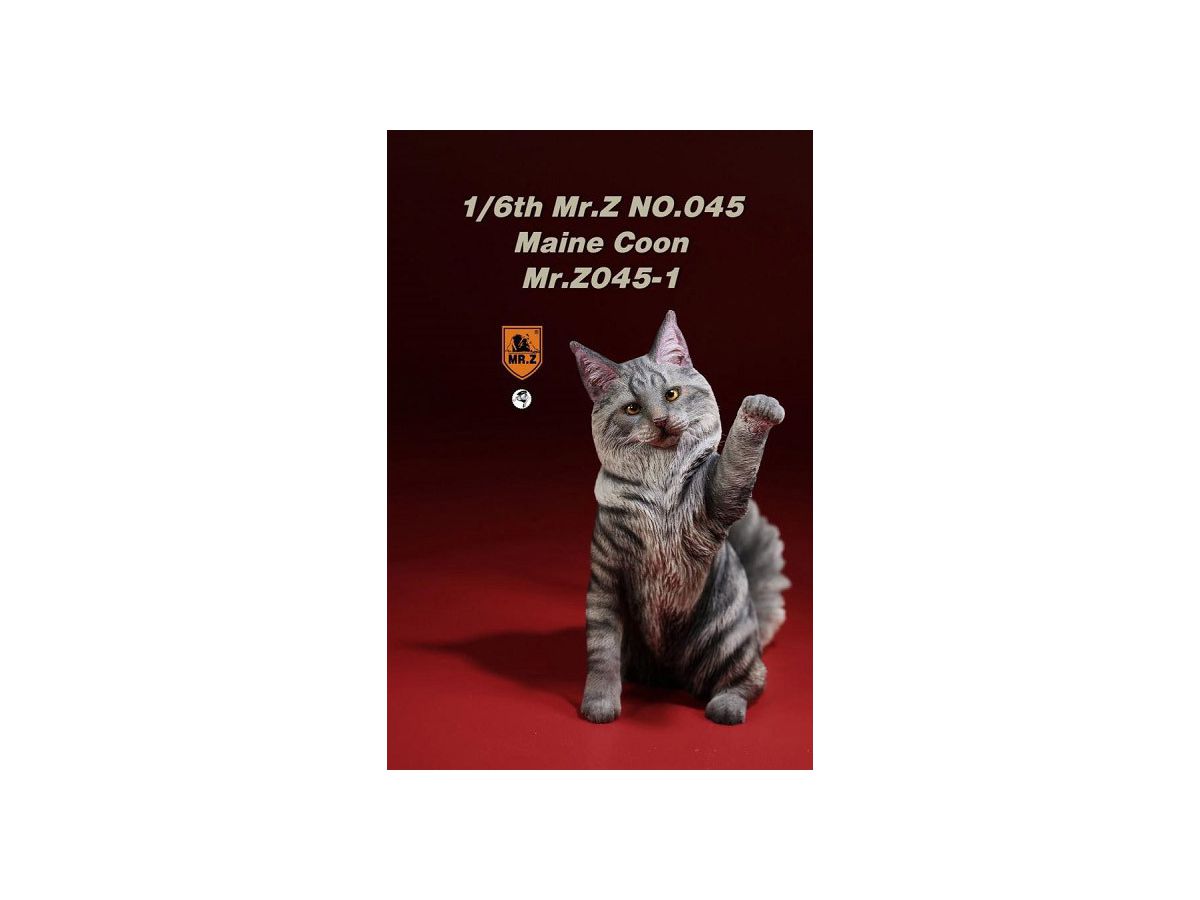 Maine Coon (Grey)