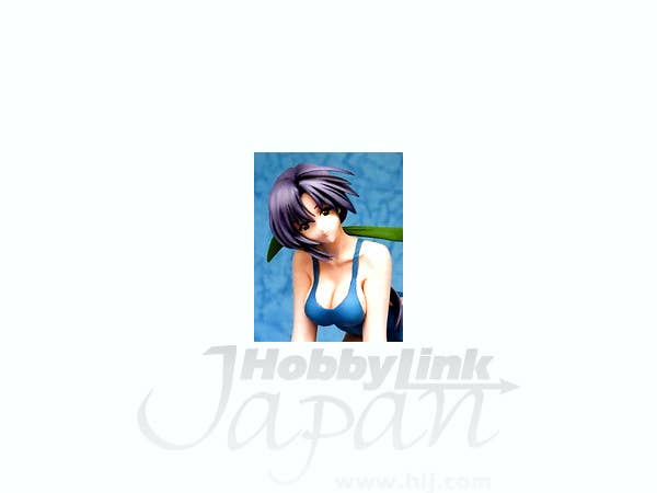 Kinoshita Takako Swimsuit 2 '10 Completed Coldcast