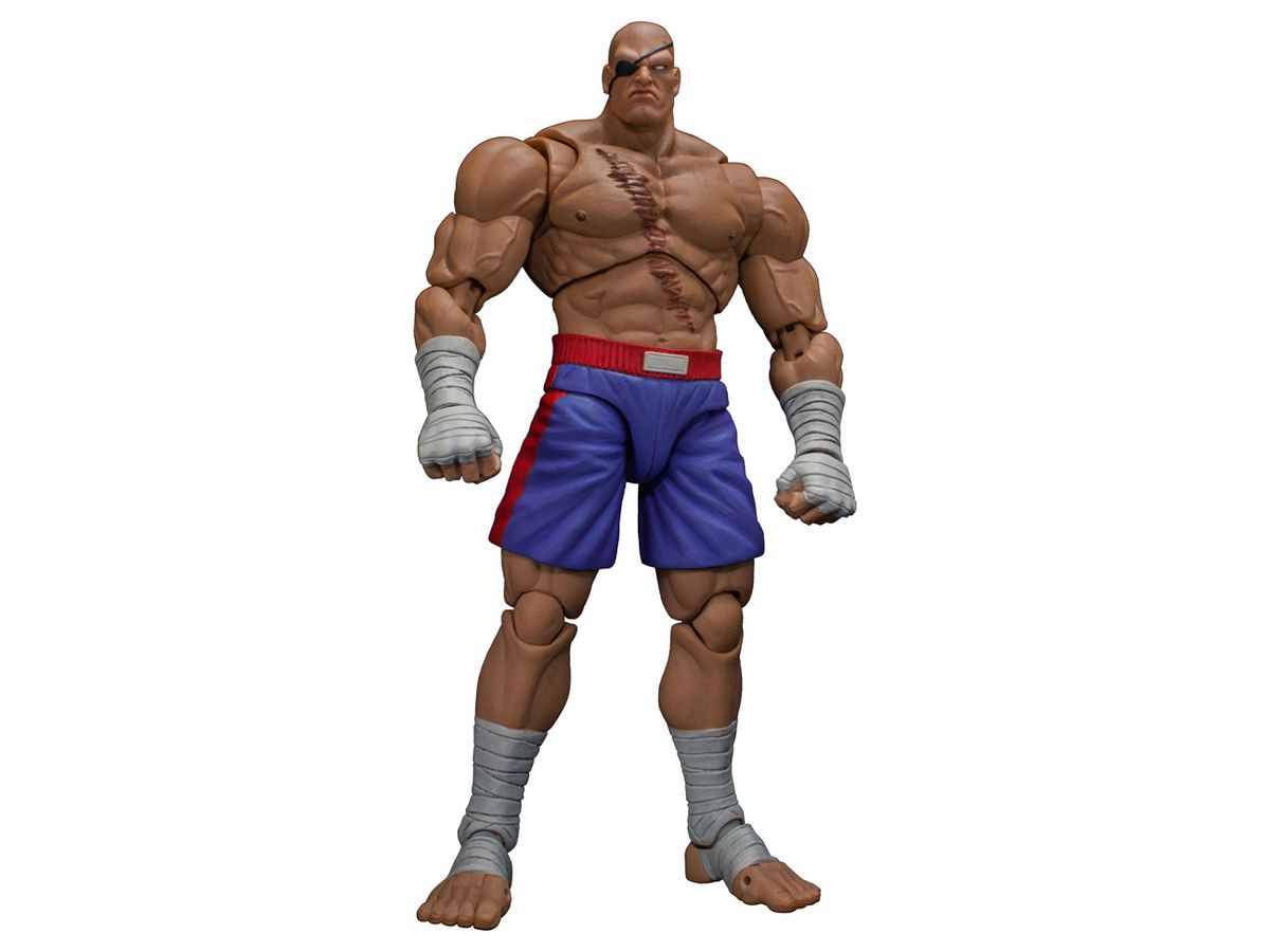 Ultra Street Fighter II The Final Challengers Sagat Action Figure