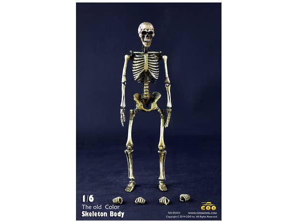 Coo Model Skeleton Body The Old Color | HLJ.com