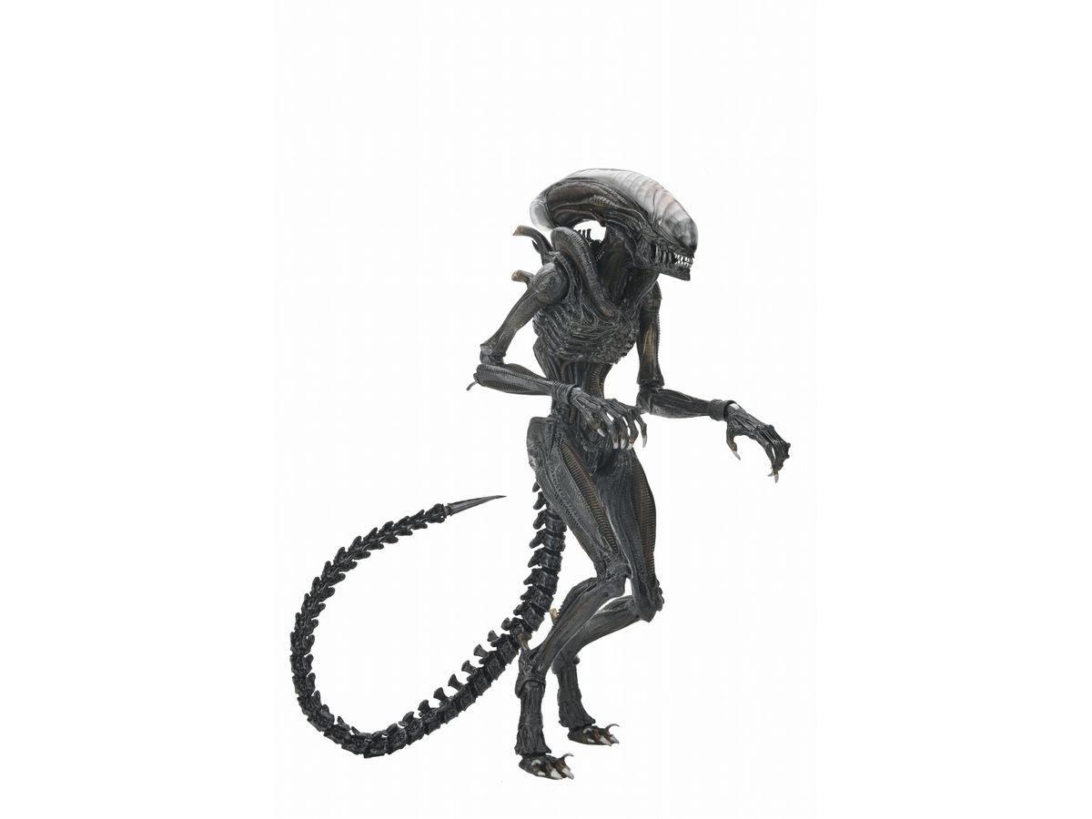 Alien: Romulus/Scorched Xenomorph Ultimate 7-inch Action Figure