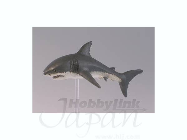Great White Shark