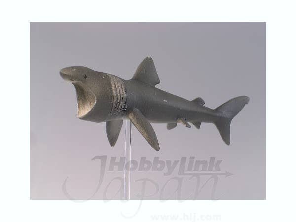 Bone Shark