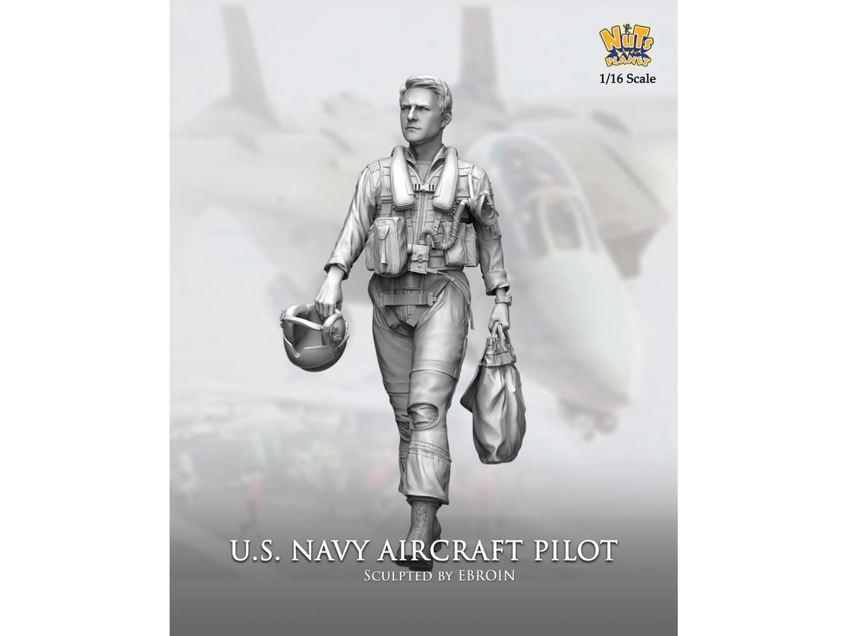 US Navy Fighter Pilot
