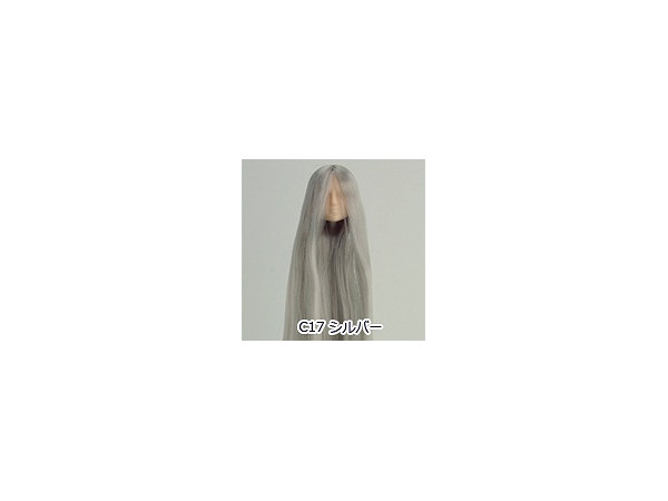 27cm Hair Implant Head #01 Natural (Silver)