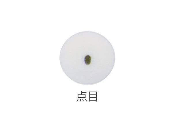 COM2 [Point] 10mm