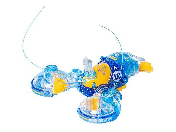 Boston Lobster (Crystal Blue)