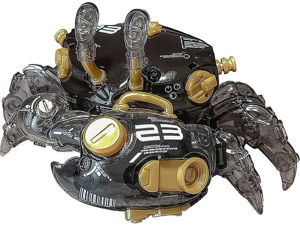 AQUACULTURE TANK 007: Fiddler Crab (Gold Black)