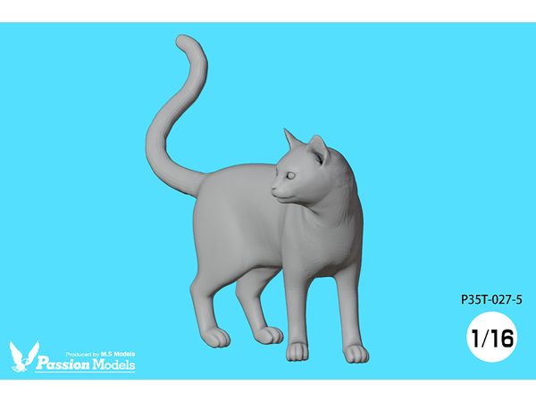 Cats Approved By Cat Lovers (5)