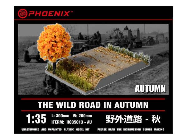 The Wild Road in Autumn