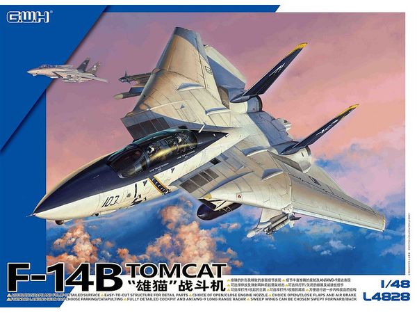 US Navy F-14B Carrier-Based Fighter