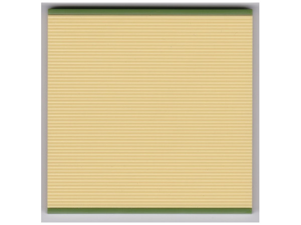 Tatami Mat (Half Size) D Color
