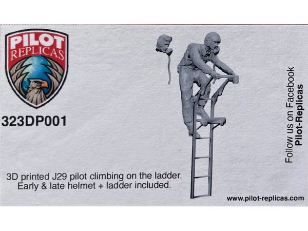 SAAB 29 Tunnan pilot climbing on ladder