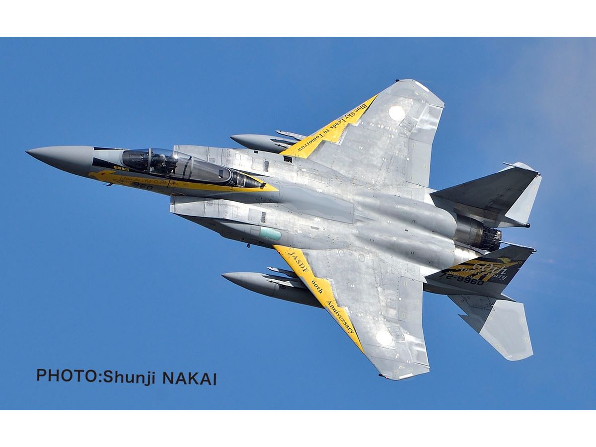 JASDF F-15J Eagle Komatsu Base Air Festival 2014 306th Squadron Golden Eagles Special Painting Machine