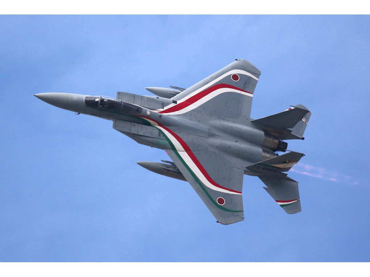 Japan Air Self-Defense Force F-15J Eagle 306th Squadron Japan-Italy Joint Training 2023 Special Livery Aircraft