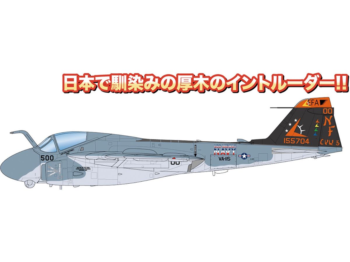 U.S. Navy Carrier-Based Attack Aircraft A-6 Intruder VA-115 Eagles (set of 2)