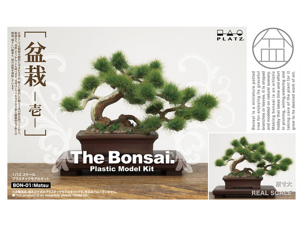 The Bonsai Plastic Kit #1