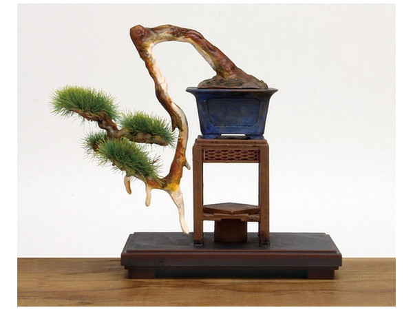 The Bonsai Plastic Kit #3