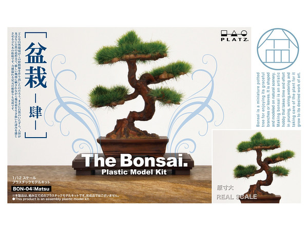 The Bonsai Plastic Kit #4