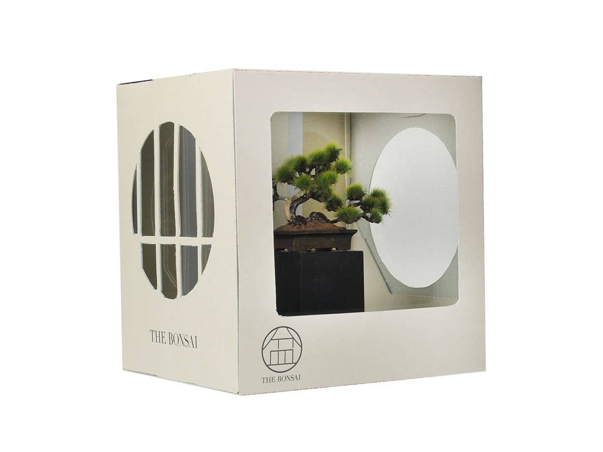 The Bonsai -Bonsai Nippon- #1