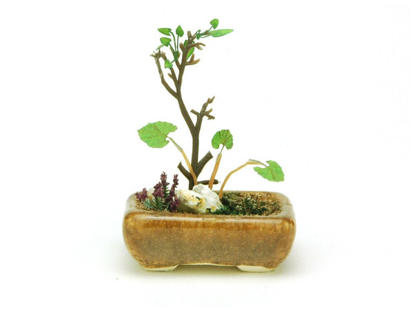 The Bonsai: Corner Bowl Group Planting (Brown)