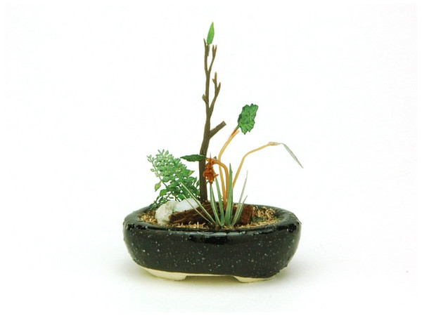 The Bonsai: Koban Bowl Group Planting (Black)