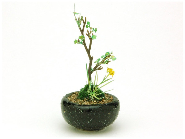 The Bonsai: Circle Bowl Group Planting (Black)