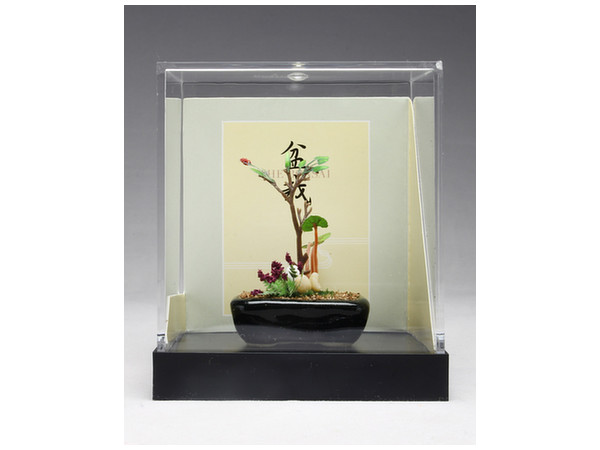 THE BONSAI: Yaso Bonsai [Black Square Pot]
