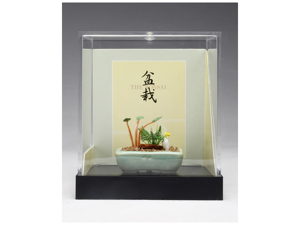 THE BONSAI: Kusamono Yoseue [Light Blue Square Pot]