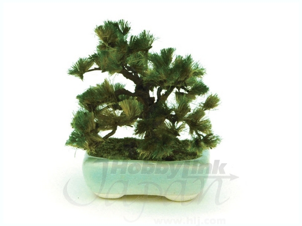 The Bonsai: Corner Bowl Pine (Light Blue)