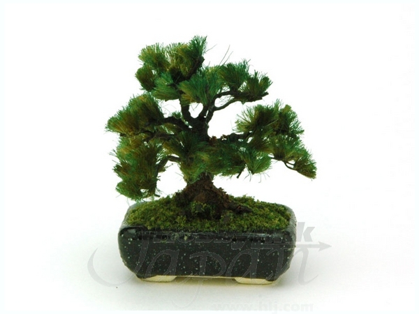 The Bonsai: Corner Bowl Pine (Black)