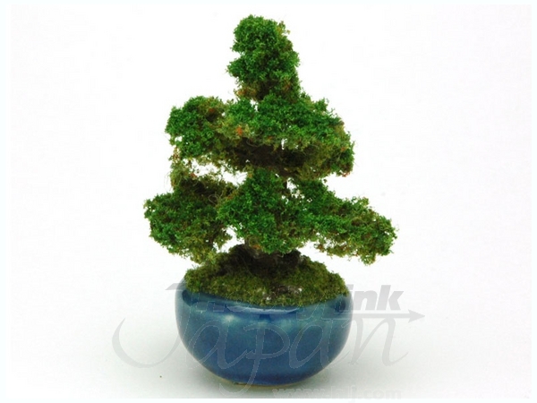 The Bonsai: Circle Bowl Cedar (Dark Blue)