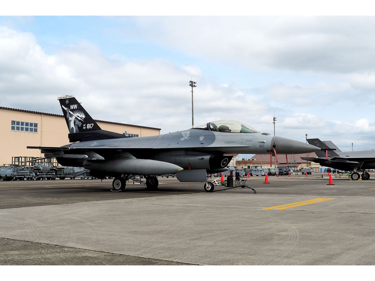 US Air Force Fighter F-16C Fighting Falcon Misawa Air Base 35th Fighter Wing Operation Wild Weasel 50th Anniversary Marking