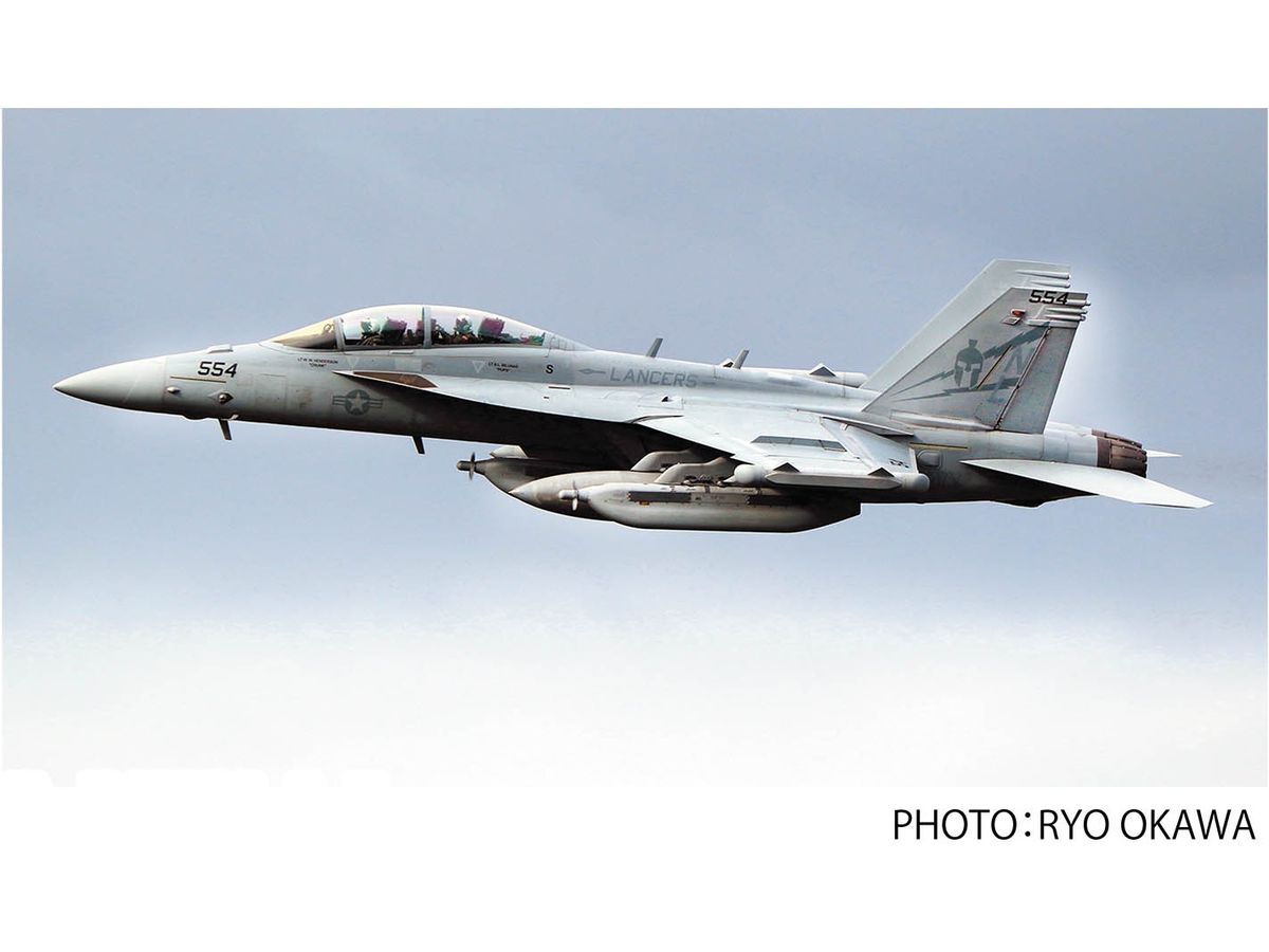 U.S. Navy Electronic Warfare Aircraft EA-18G Growler VAQ-131 Lancers 2020 Low Visibility