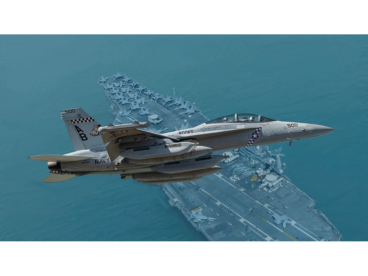 U.S. Navy Electronic Warfare Aircraft EA-18G Growler VAQ-137 Lukes