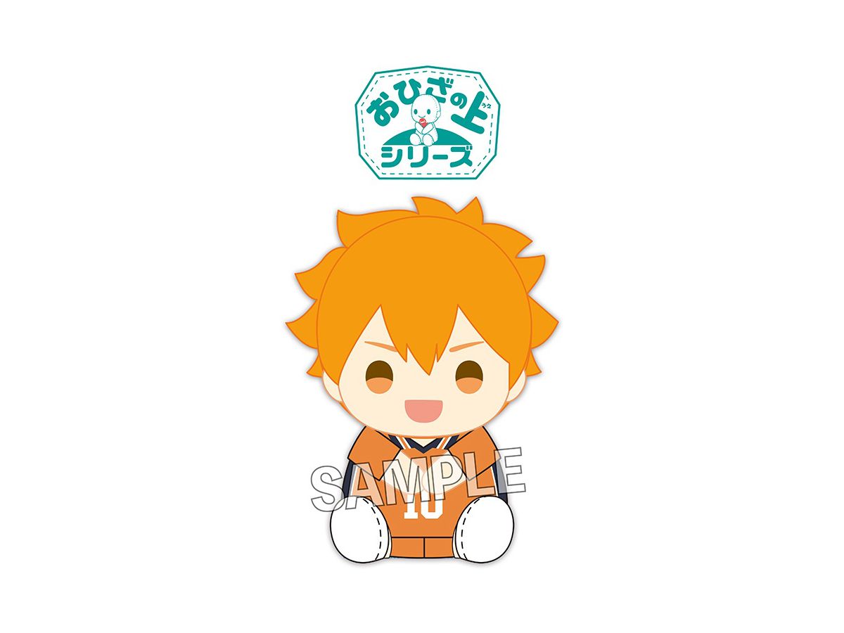 Haikyu!!: Ohizanoue Series Shoyo Hinata
