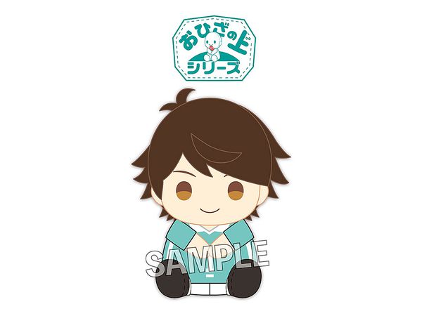 Haikyu!!: Ohizanoue Series Toru Oikawa